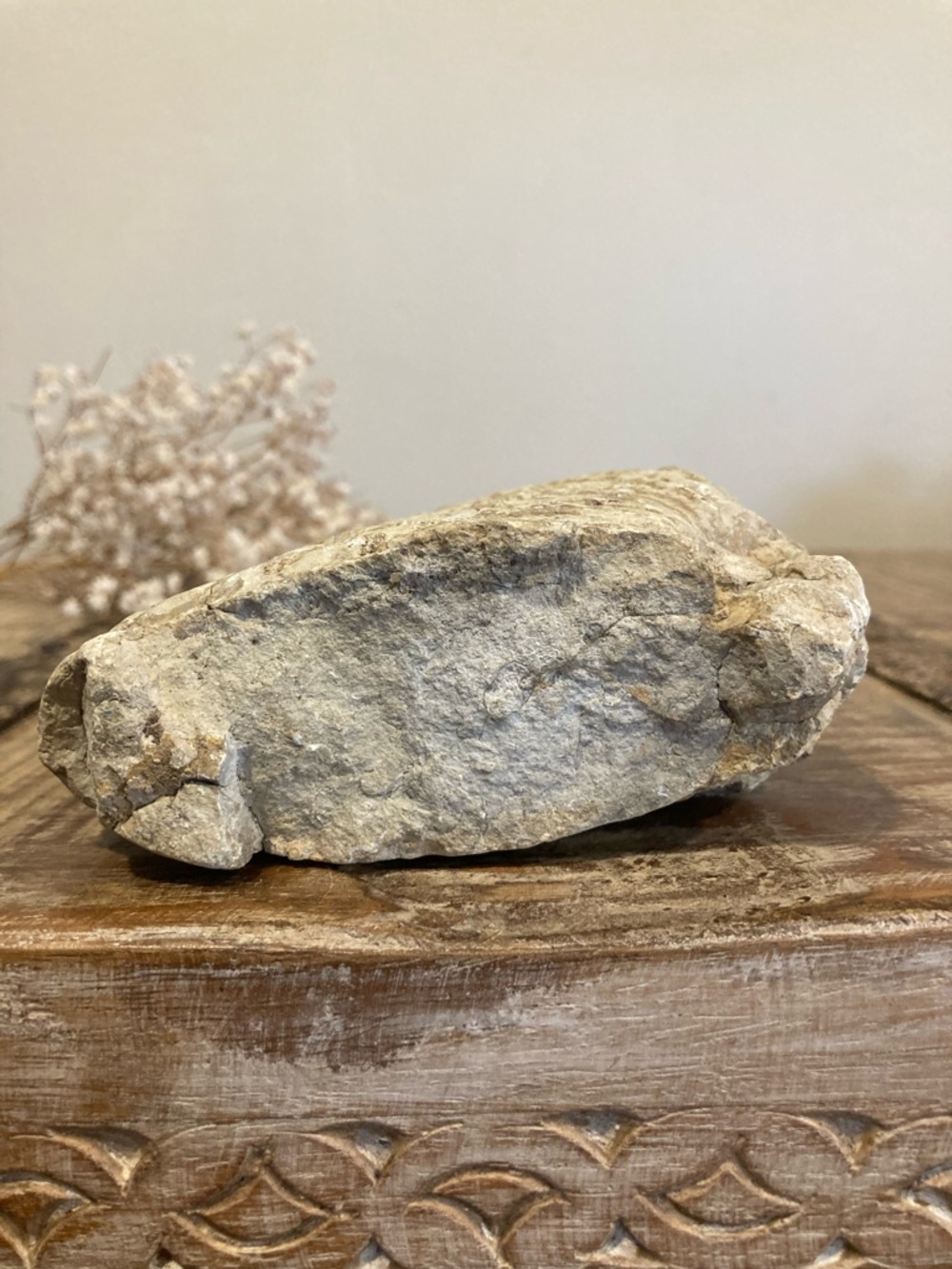 Fossilized Shell Chunk Stone Decor - Picture 4 of 11